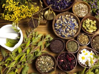 5 Natural Cures Big Pharma Doesn’t Want You to Know About