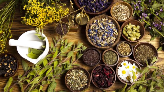 5 Natural Cures Big Pharma Doesn’t Want You to Know About