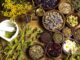 5 Natural Cures Big Pharma Doesn’t Want You to Know About