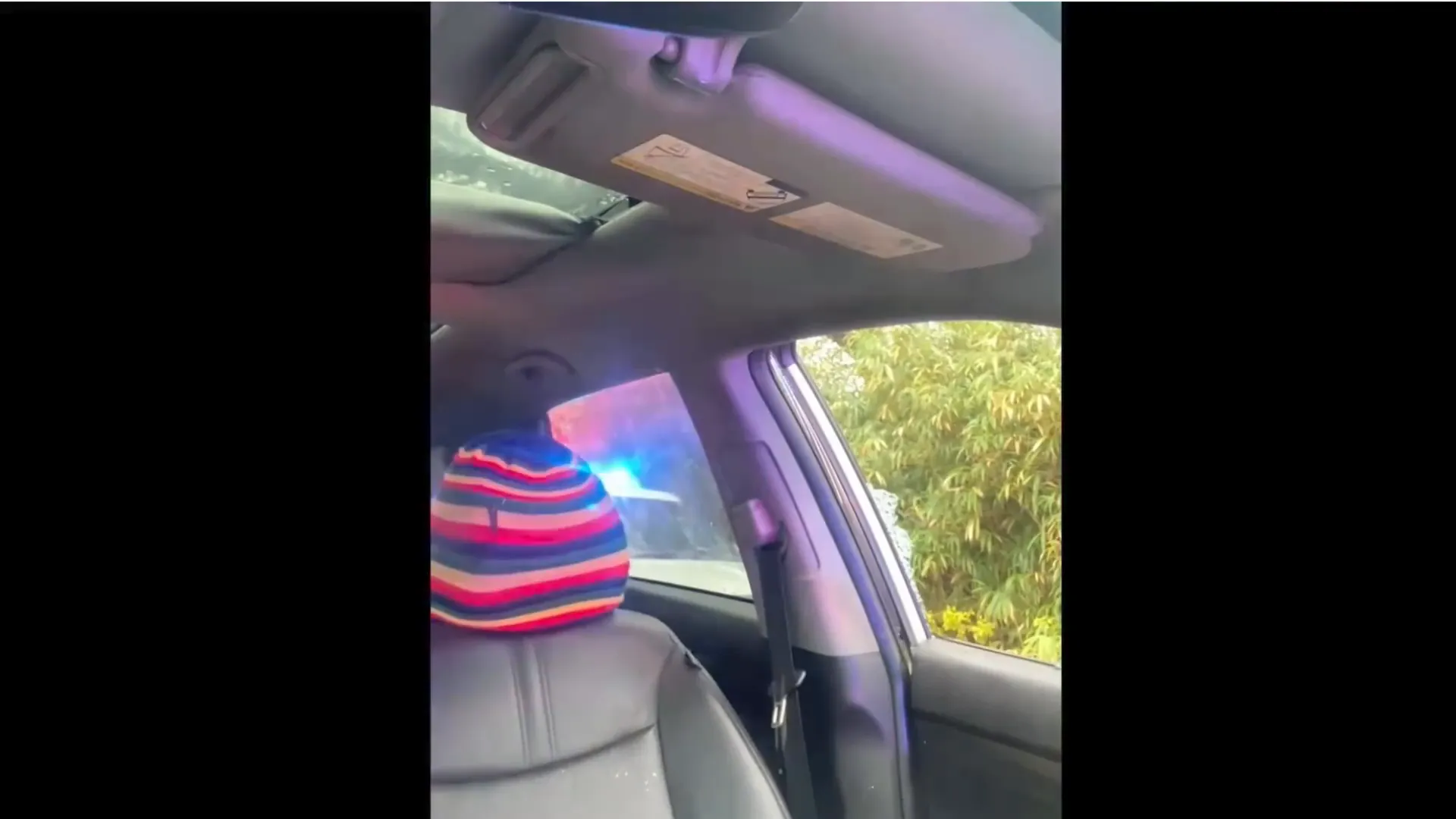 Officer punching through the window striking the motorist