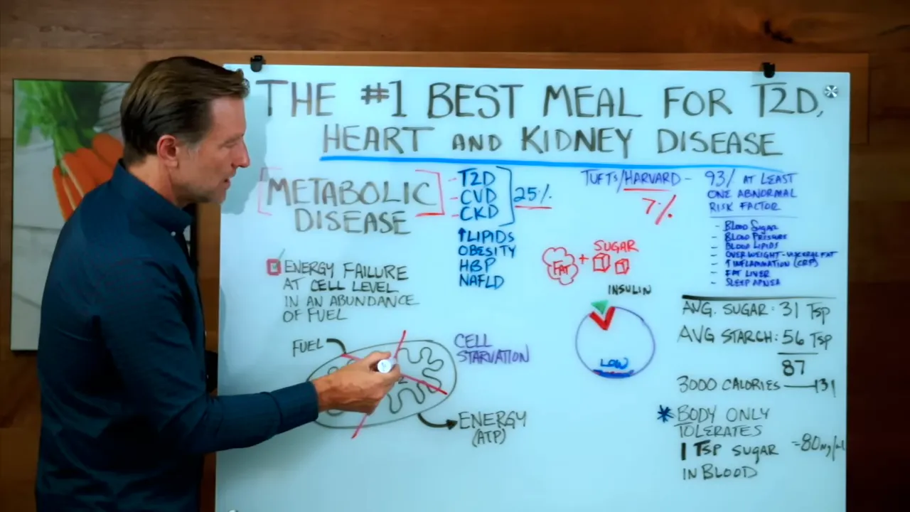 Mitochondria as the energy factory of the cell
