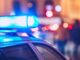 How 4 Simple Words Can End a Traffic Stop Fast