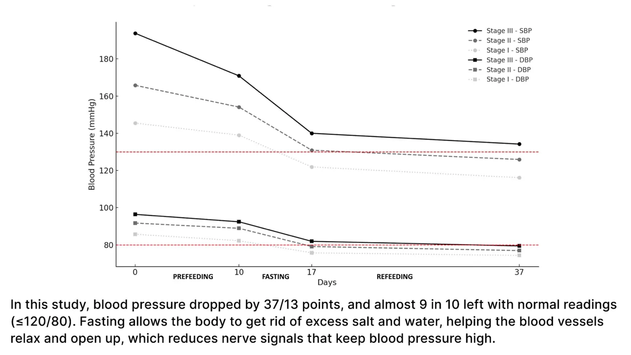 Clear line chart of systolic and diastolic blood pressure dropping from prefeeding to fasting and remaining reduced at refeeding
